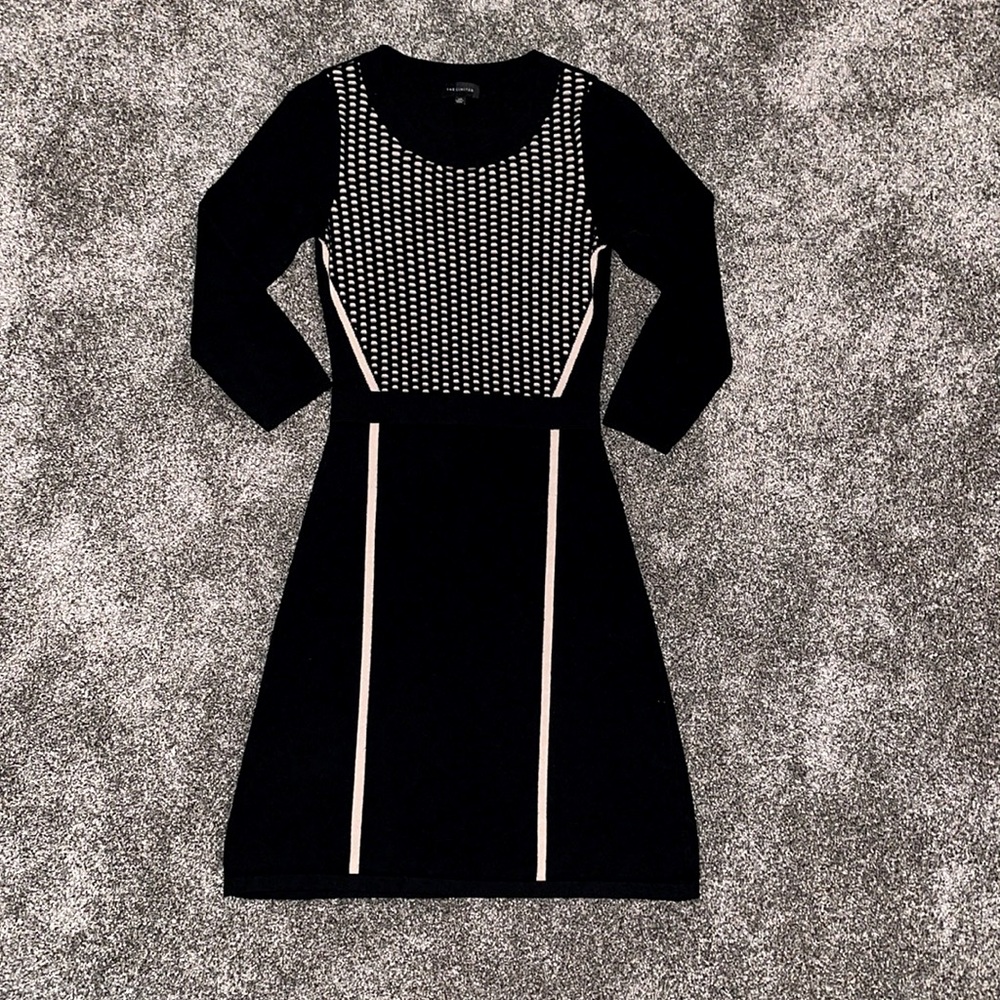 Knit Dress from The Limited